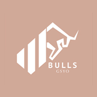 Bulls Girişim Sermayesi Yatırım Ortaklığı A.Ş. Kapak Resmi
